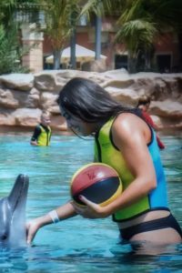 Ana Konjuh Dolphins